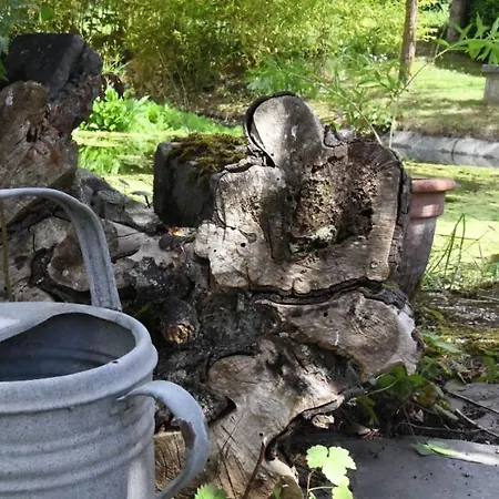 L'annexe Appart hôtel *